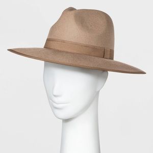 NWT Women's Wide Brim Felt Fedora Hat Taupe- A New Day